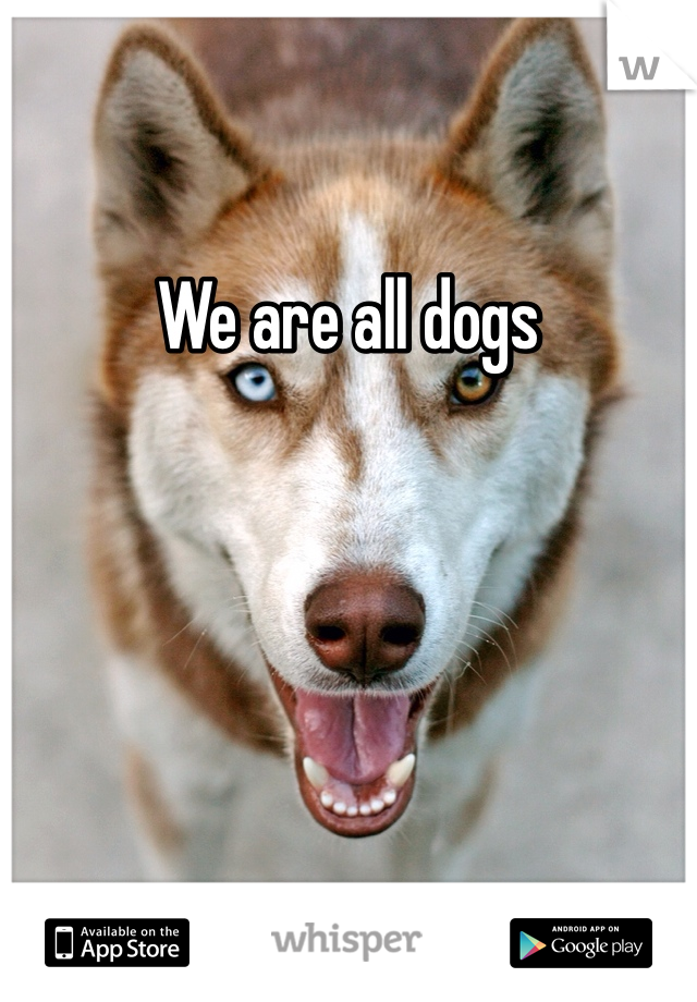 We are all dogs