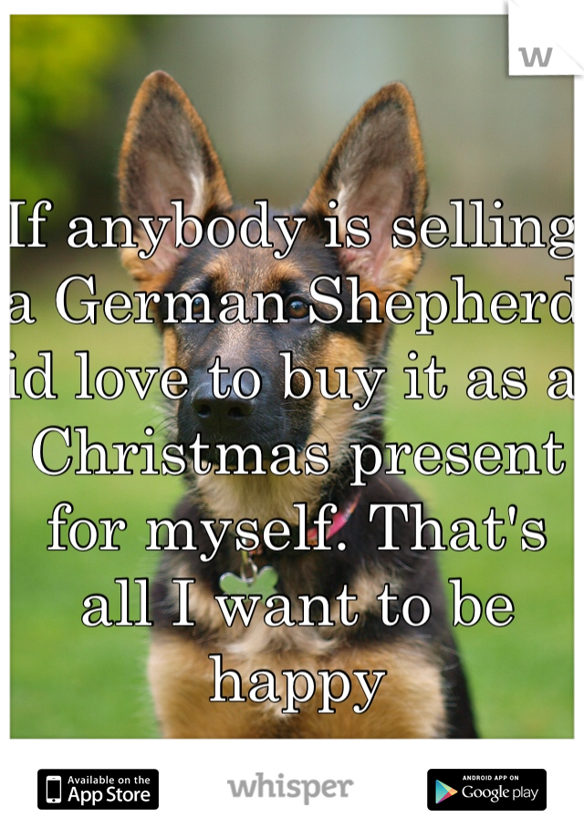If anybody is selling a German Shepherd id love to buy it as a Christmas present for myself. That's all I want to be happy