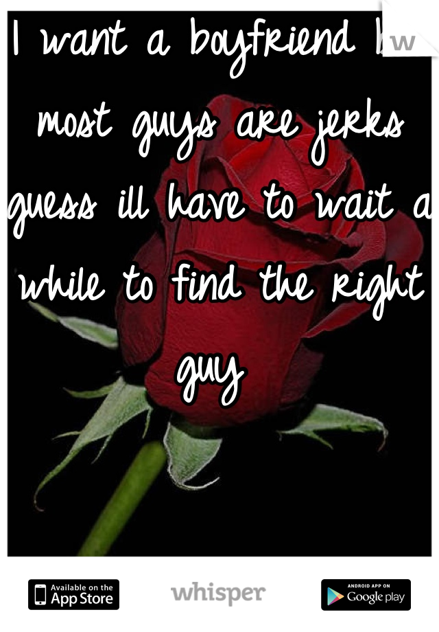 I want a boyfriend but most guys are jerks guess ill have to wait a while to find the right guy 