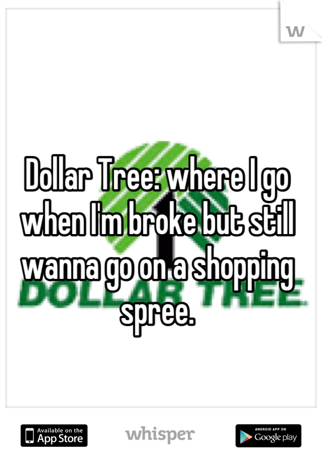 Dollar Tree: where I go when I'm broke but still wanna go on a shopping spree.