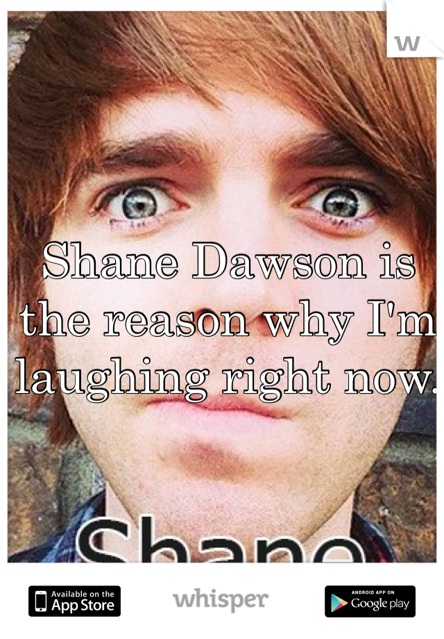 Shane Dawson is the reason why I'm laughing right now. 