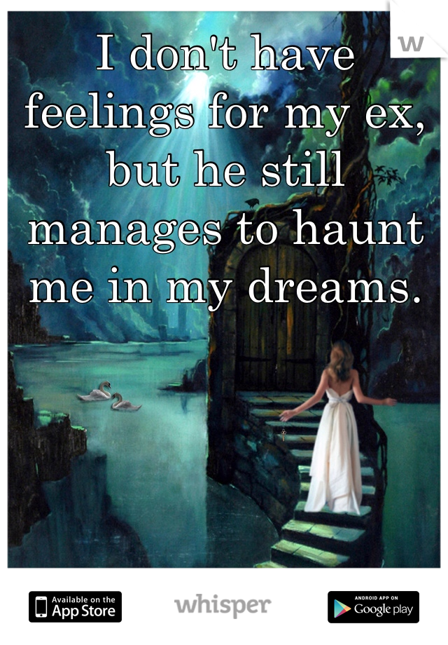 I don't have feelings for my ex, but he still manages to haunt me in my dreams.