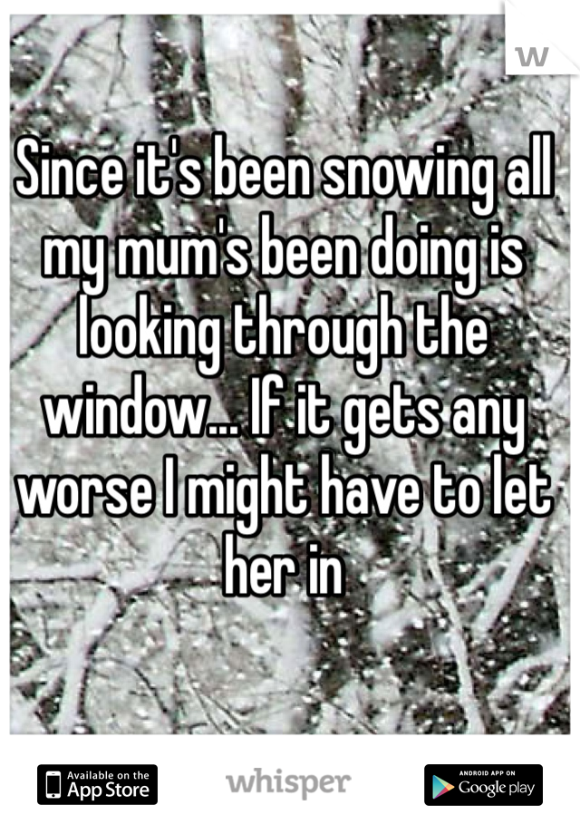 Since it's been snowing all my mum's been doing is looking through the window... If it gets any worse I might have to let her in