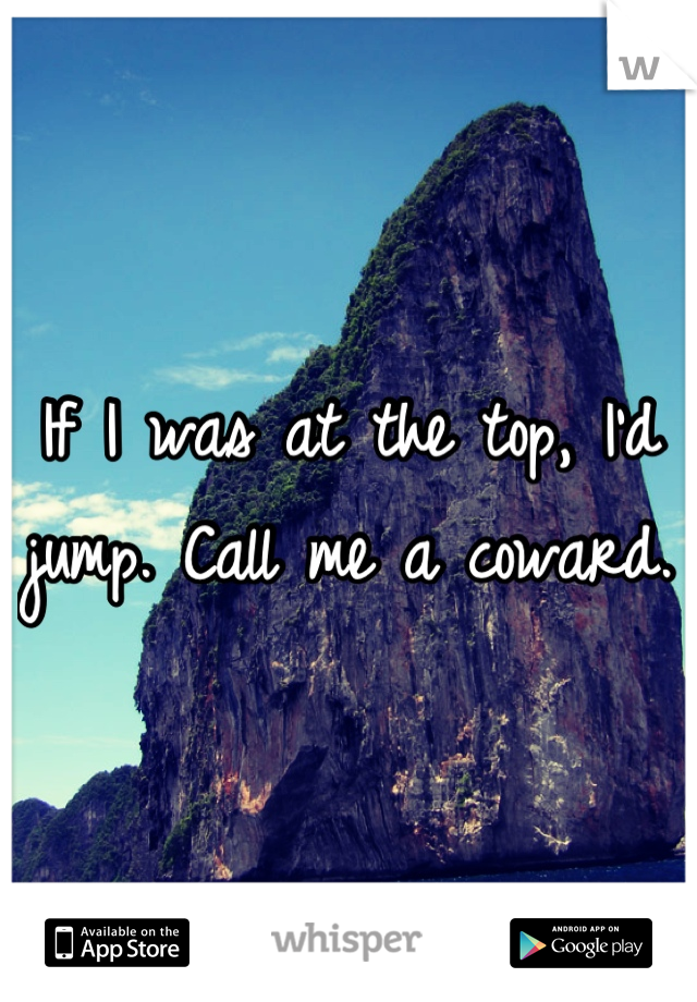 If I was at the top, I'd jump. Call me a coward. 