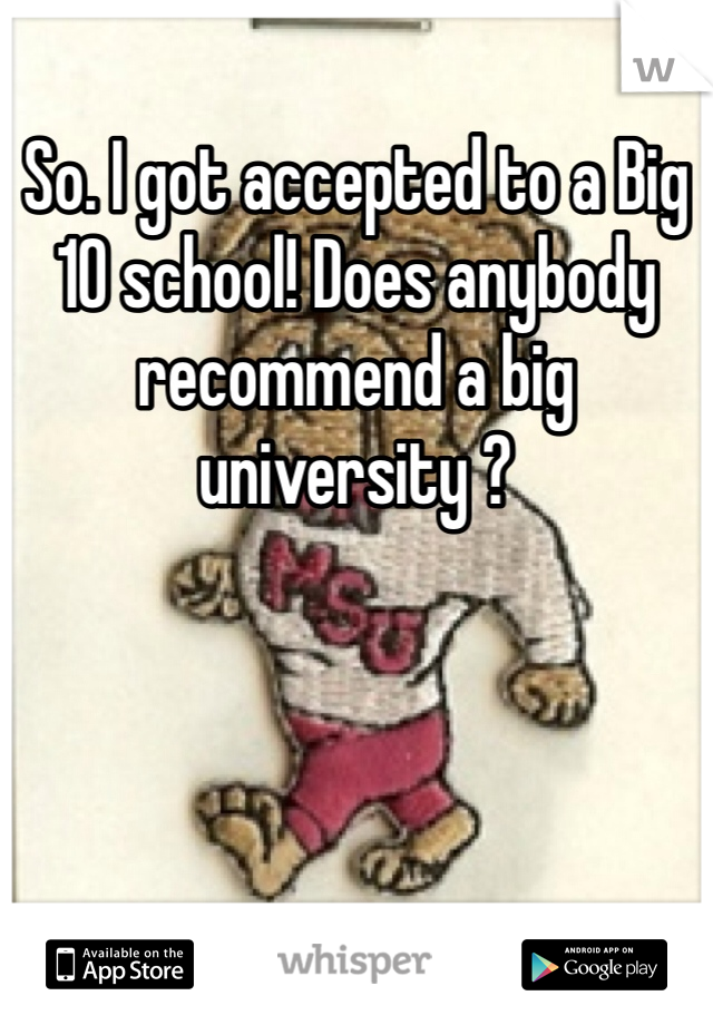 So. I got accepted to a Big 10 school! Does anybody recommend a big university ?