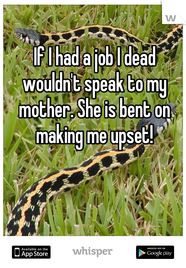 If I had a job I dead wouldn't speak to my mother. She is bent on making me upset!