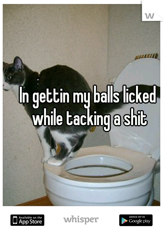 In gettin my balls licked while tacking a shit