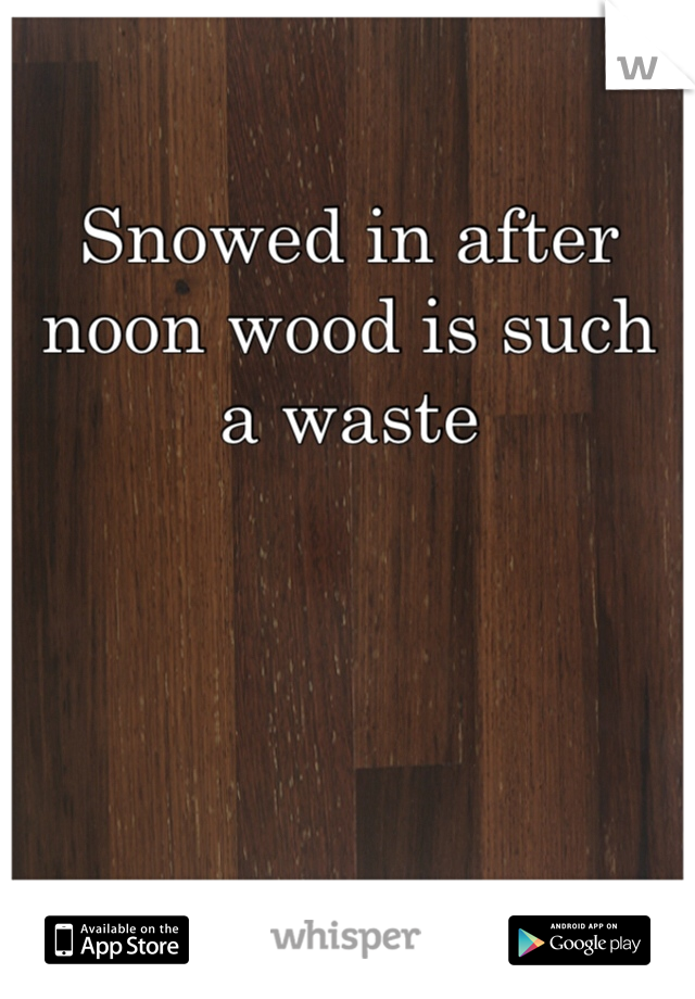 Snowed in after noon wood is such a waste