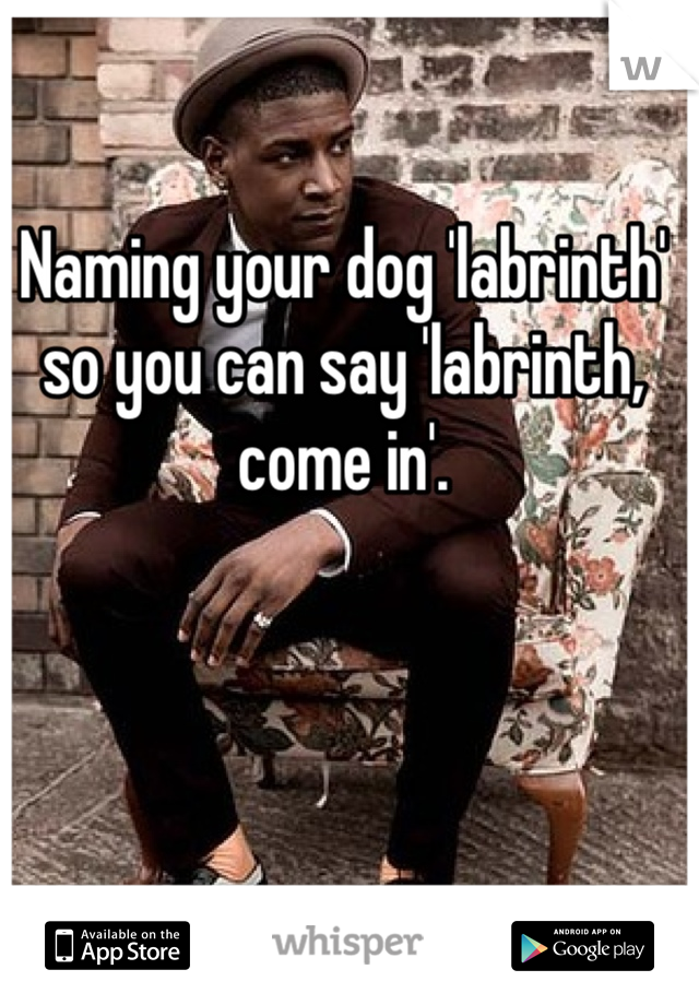 Naming your dog 'labrinth' so you can say 'labrinth, come in'.