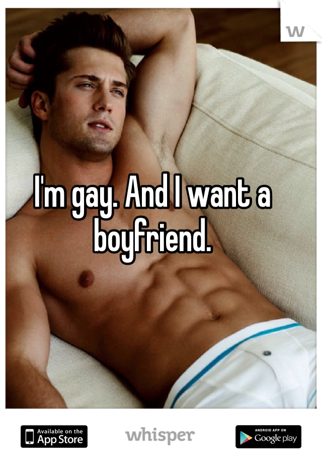 I'm gay. And I want a boyfriend. 
