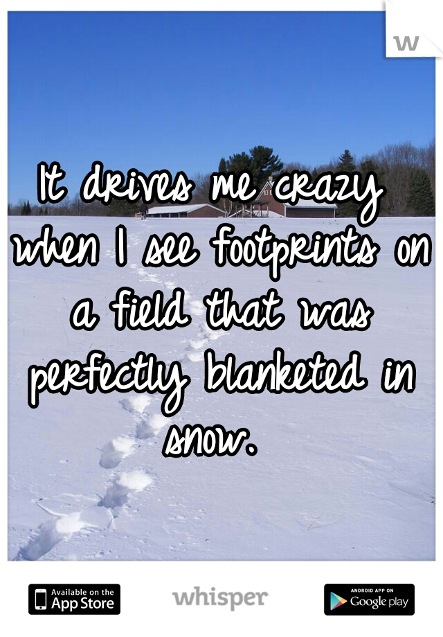 It drives me crazy when I see footprints on a field that was perfectly blanketed in snow. 