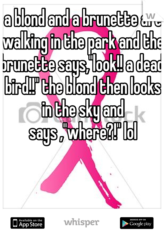 a blond and a brunette are walking in the park and the brunette says,"look!! a dead bird!!" the blond then looks in the sky and says ,"where?!" lol