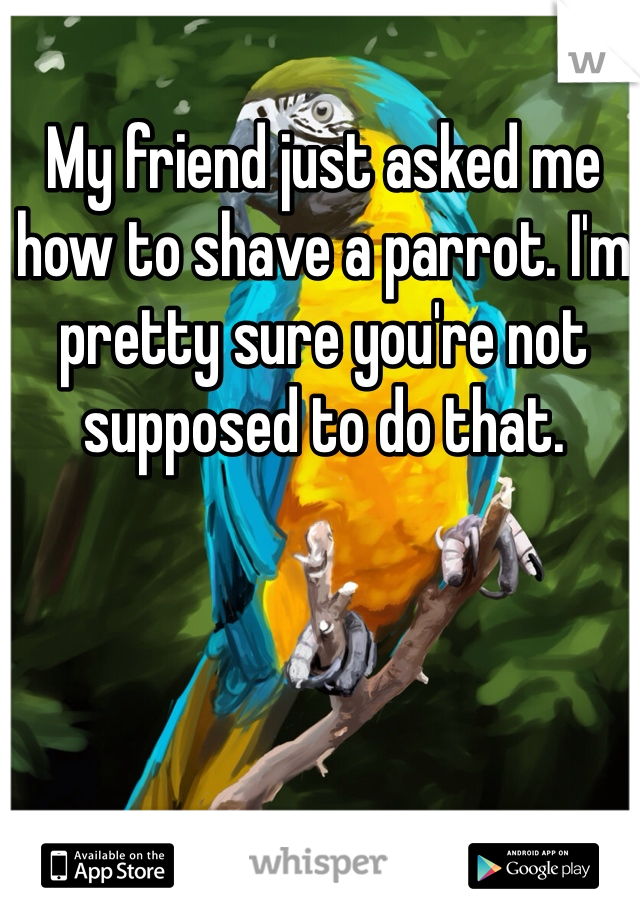 My friend just asked me how to shave a parrot. I'm pretty sure you're not supposed to do that.