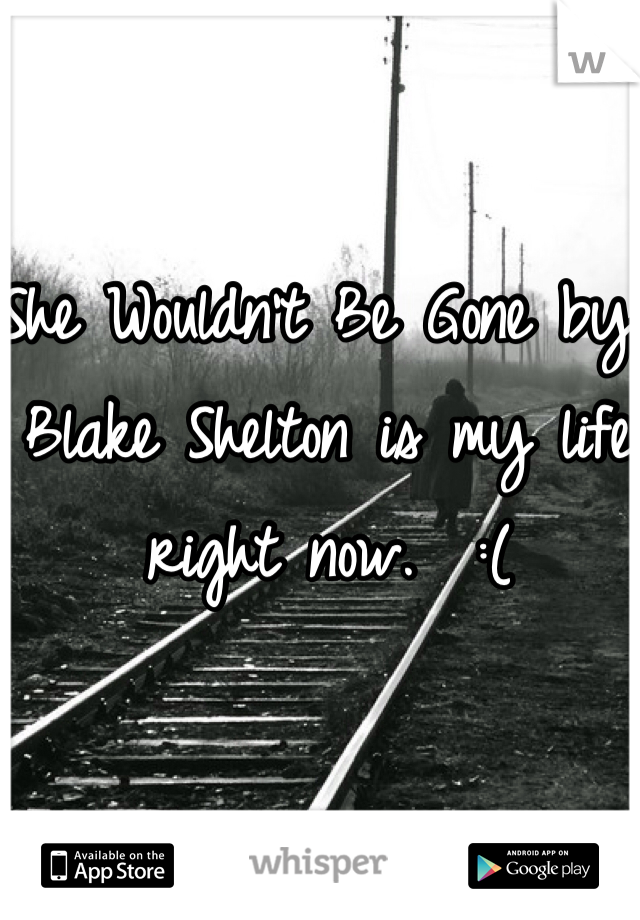 She Wouldn't Be Gone by Blake Shelton is my life right now.  :(
