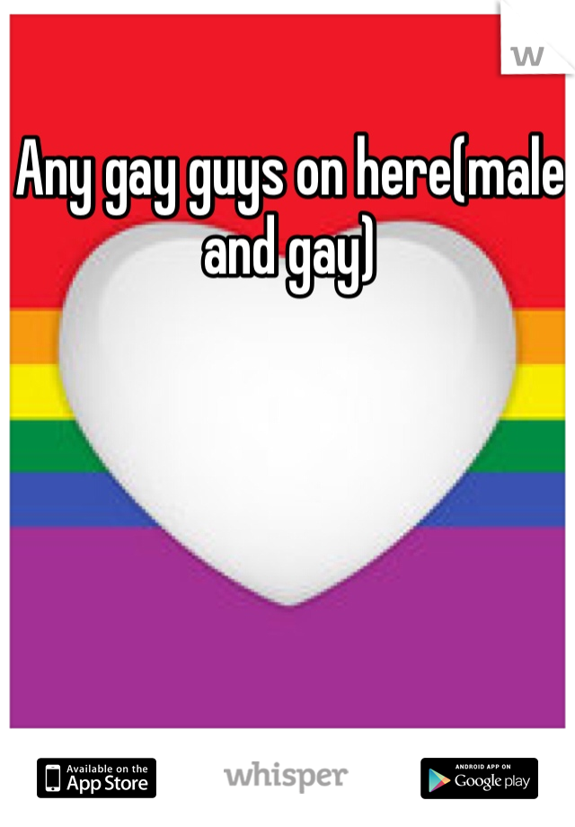 Any gay guys on here(male and gay)