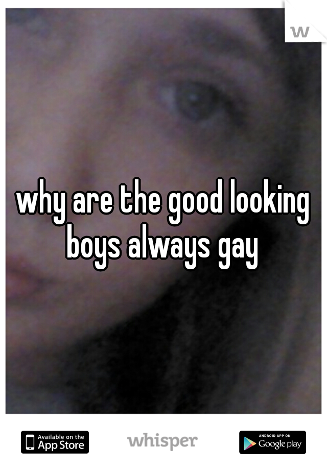 why are the good looking boys always gay 