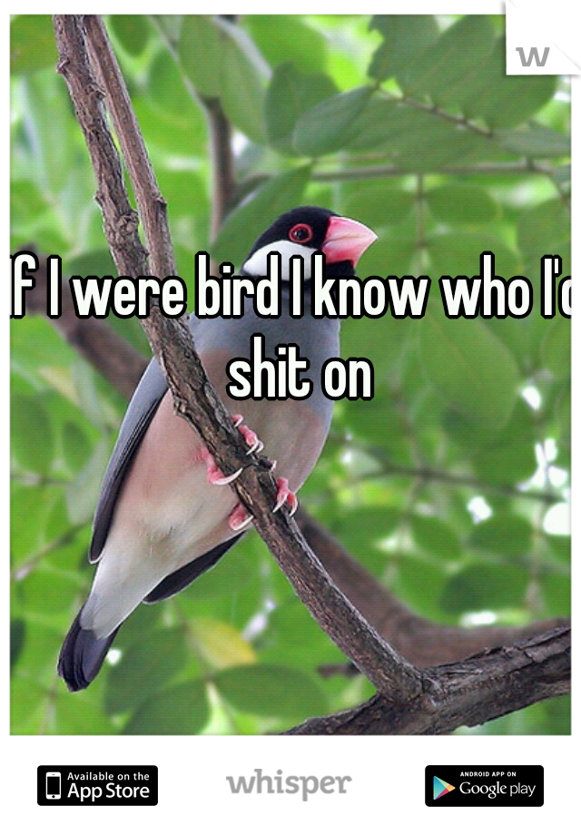 If I were bird I know who I'd shit on