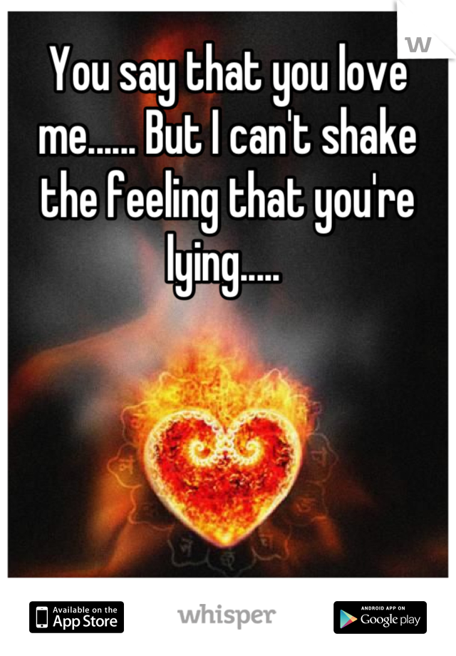You say that you love me...... But I can't shake the feeling that you're lying..... 