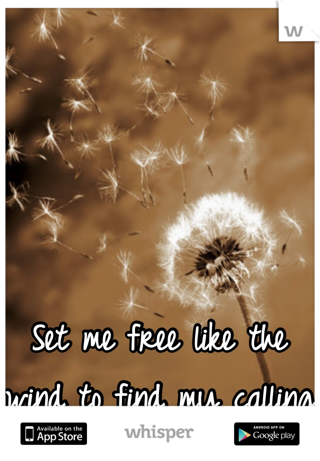 Set me free like the wind to find my calling