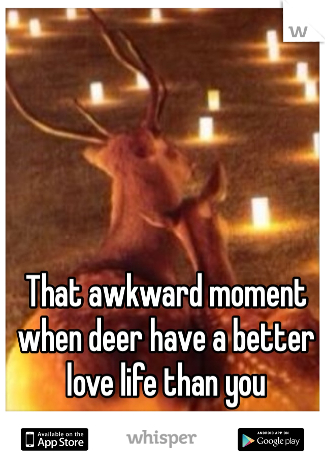 That awkward moment when deer have a better love life than you 
