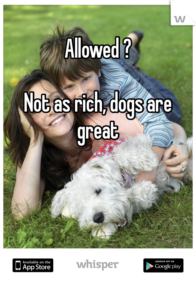 Allowed ?

Not as rich, dogs are great 