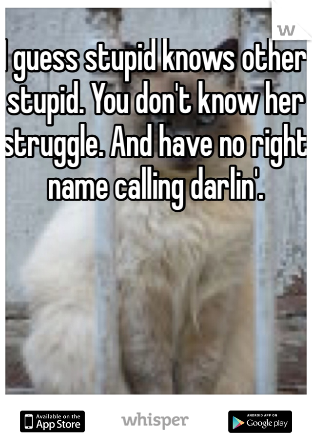 I guess stupid knows other stupid. You don't know her struggle. And have no right name calling darlin'. 