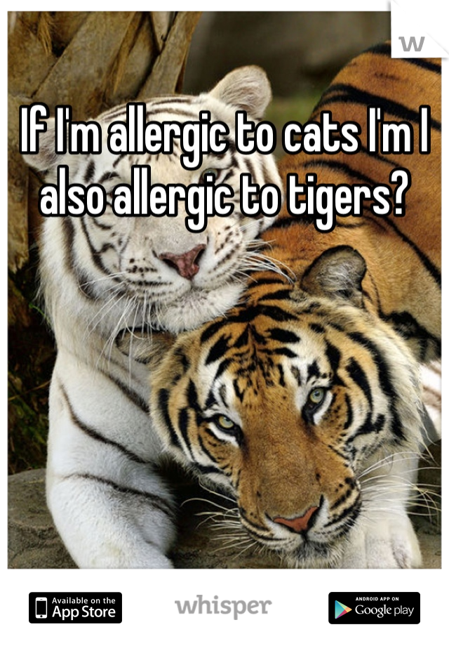 If I'm allergic to cats I'm I also allergic to tigers?