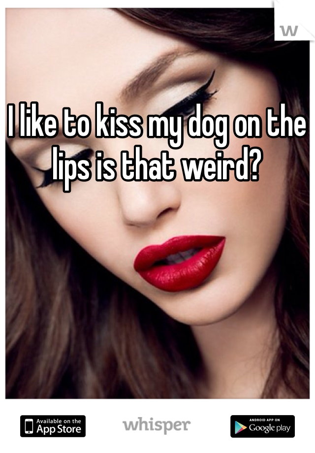 I like to kiss my dog on the lips is that weird?