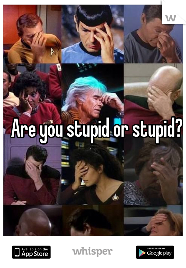 Are you stupid or stupid?