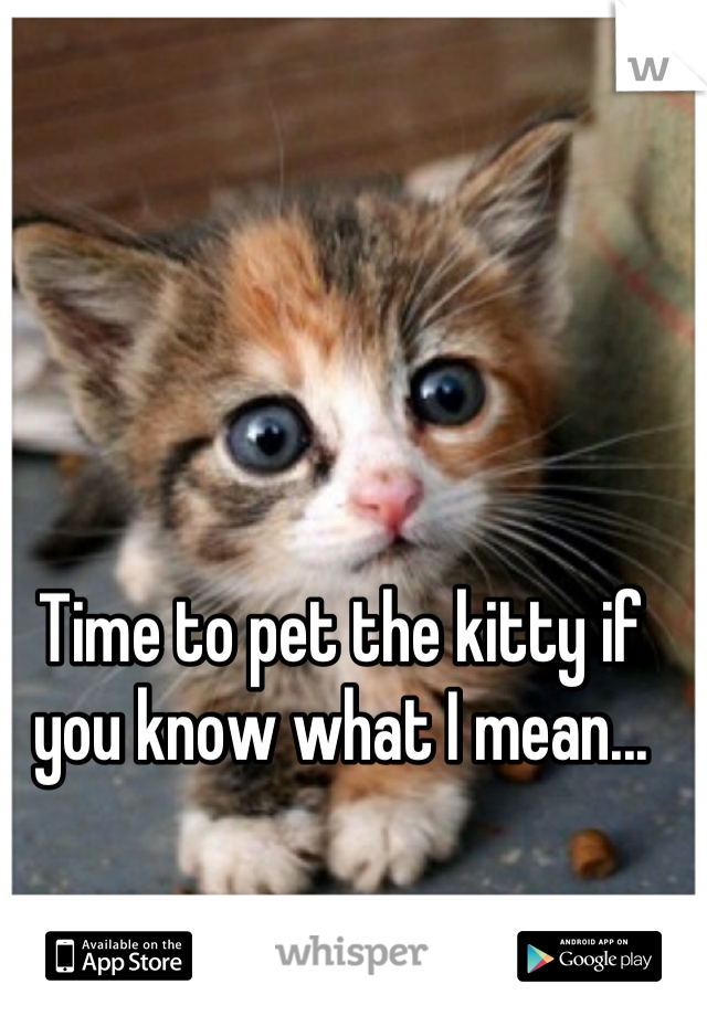 Time to pet the kitty if you know what I mean...