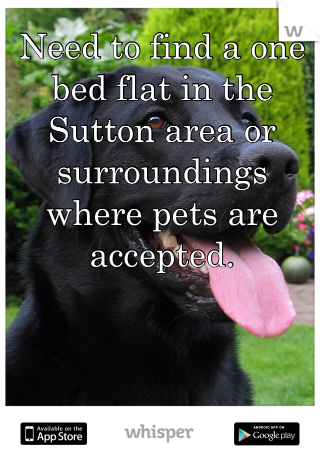 Need to find a one bed flat in the Sutton area or surroundings where pets are accepted.