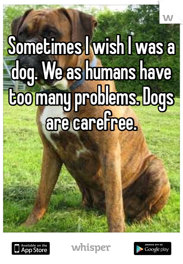 Sometimes I wish I was a dog. We as humans have too many problems. Dogs are carefree. 