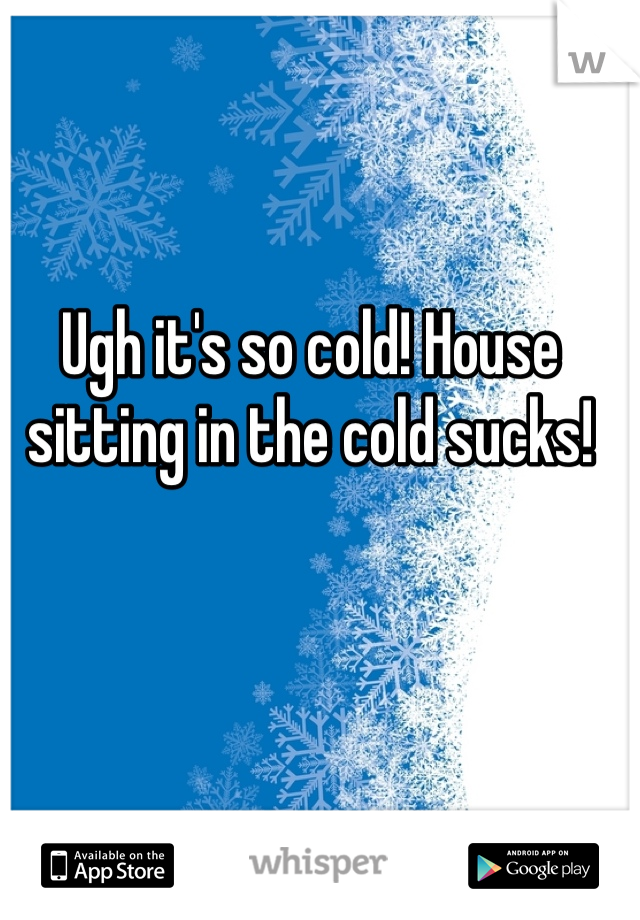 Ugh it's so cold! House sitting in the cold sucks! 