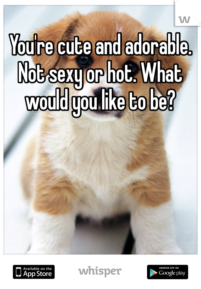 You're cute and adorable. Not sexy or hot. What would you like to be?