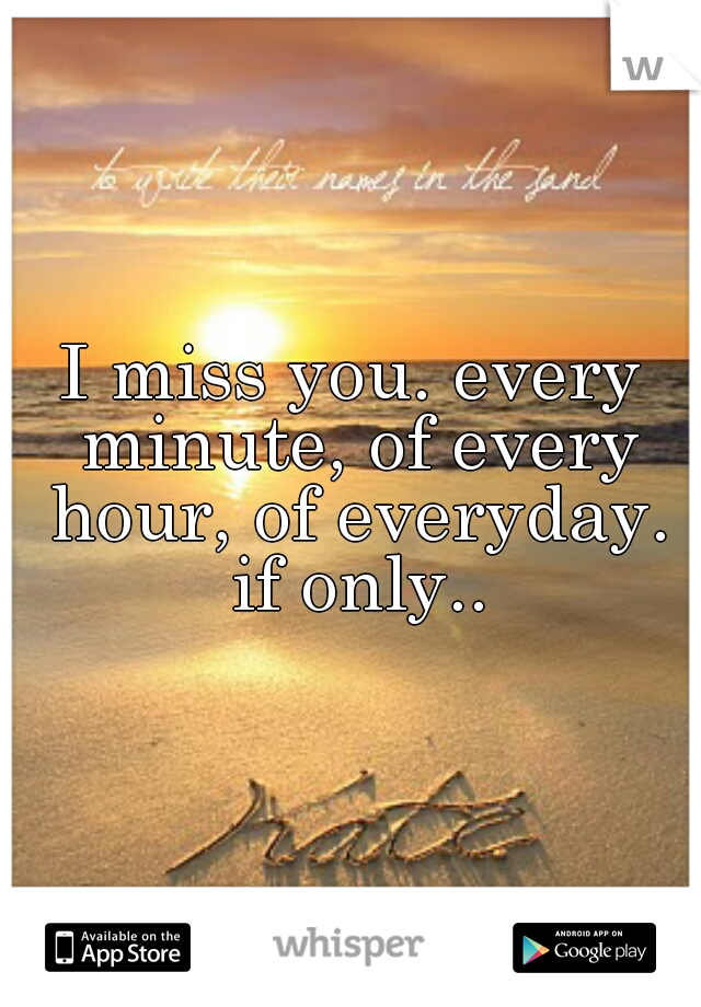 I miss you. every minute, of every hour, of everyday. if only..