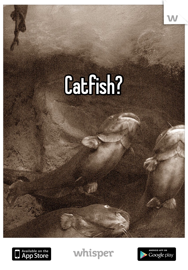 Catfish? 