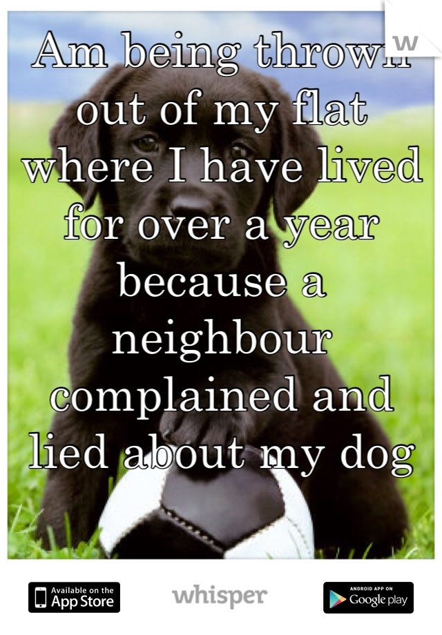 Am being thrown out of my flat where I have lived for over a year because a neighbour complained and lied about my dog