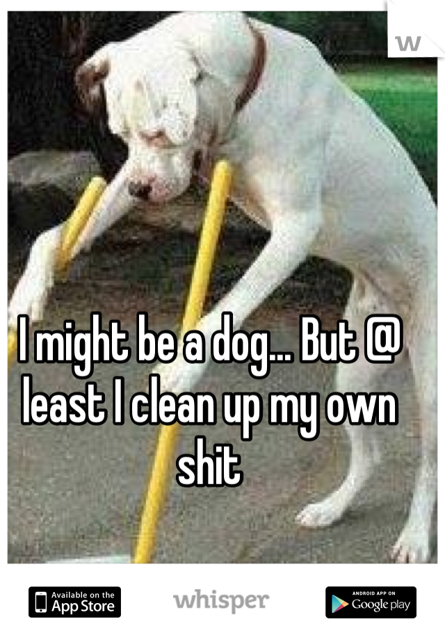 I might be a dog... But @ least I clean up my own shit