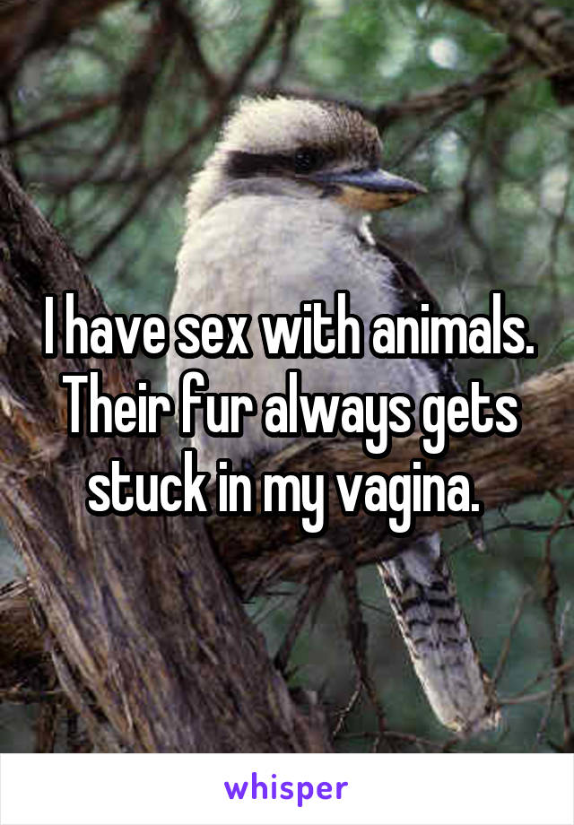 I have sex with animals. Their fur always gets stuck in my vagina. 
