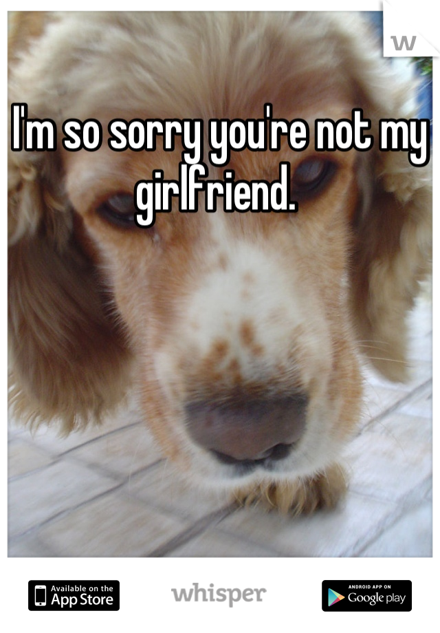 I'm so sorry you're not my girlfriend. 
