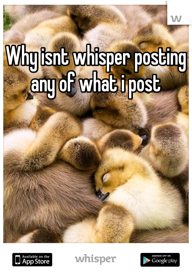 Why isnt whisper posting any of what i post
