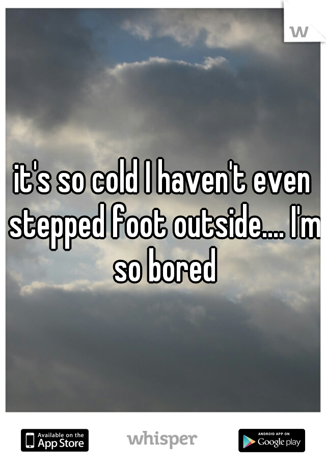 it's so cold I haven't even stepped foot outside.... I'm so bored