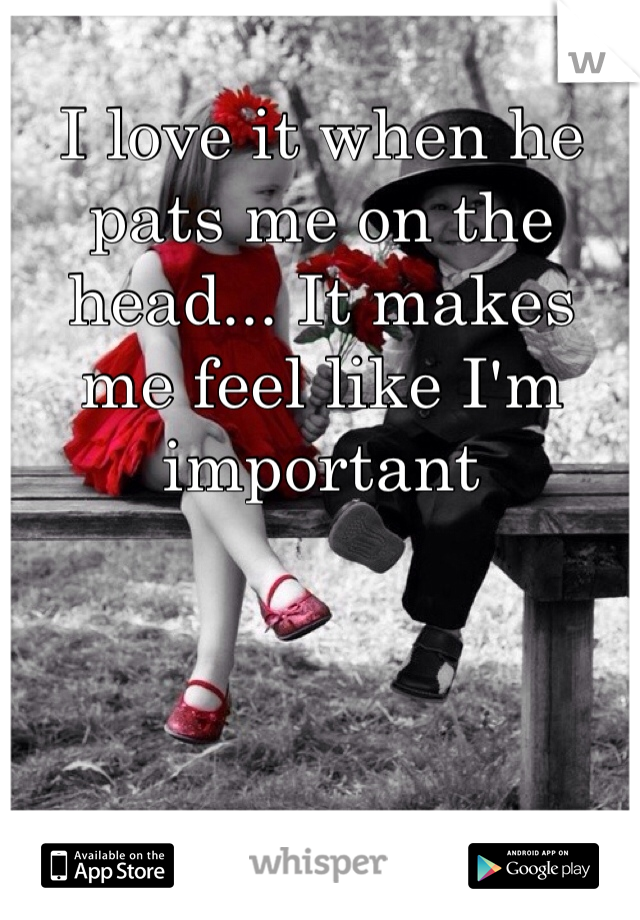 I love it when he pats me on the head... It makes me feel like I'm important