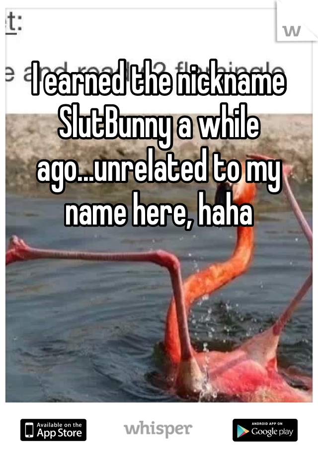 I earned the nickname SlutBunny a while ago...unrelated to my name here, haha