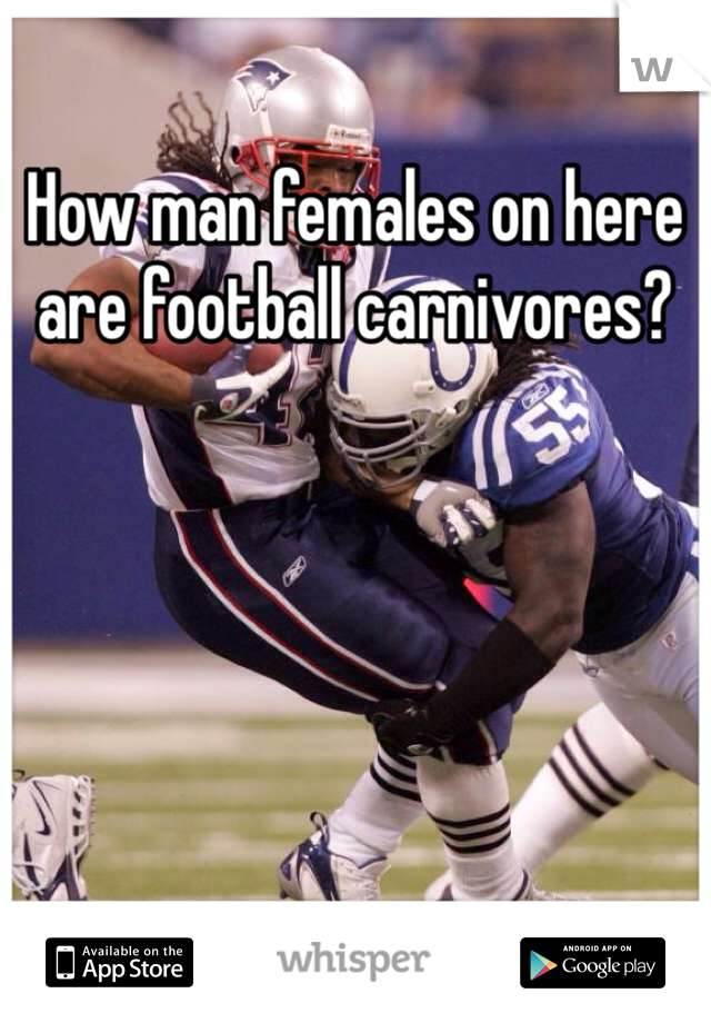 How man females on here are football carnivores?