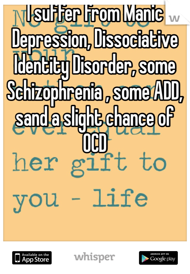 I suffer from Manic Depression, Dissociative Identity Disorder, some Schizophrenia , some ADD, sand a slight chance of OCD  