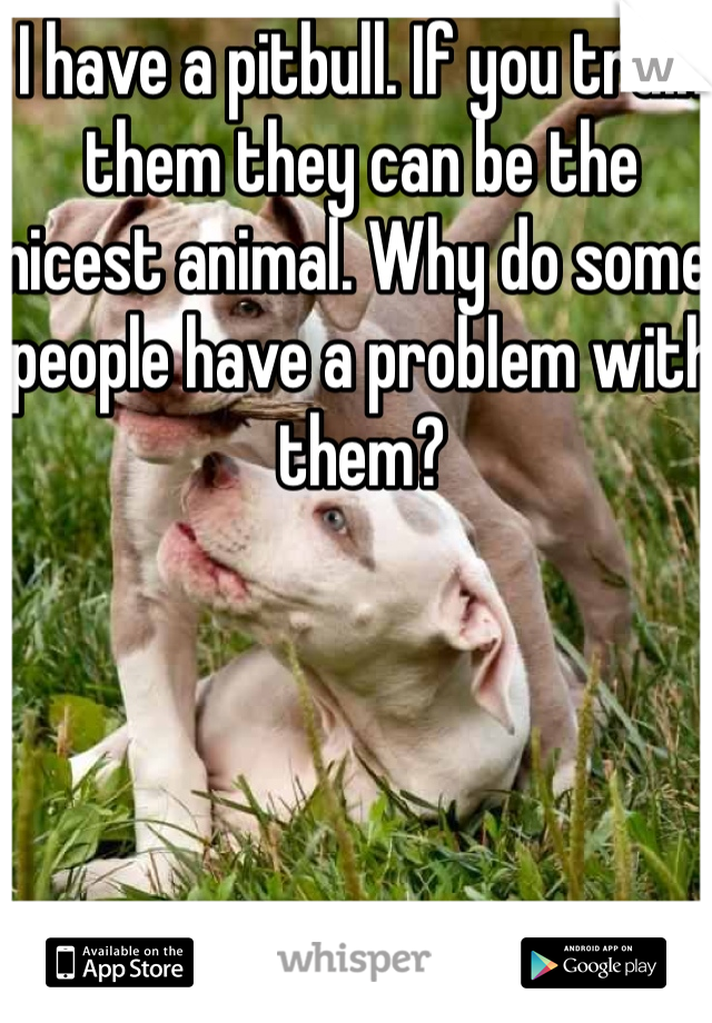 I have a pitbull. If you train them they can be the nicest animal. Why do some people have a problem with them? 