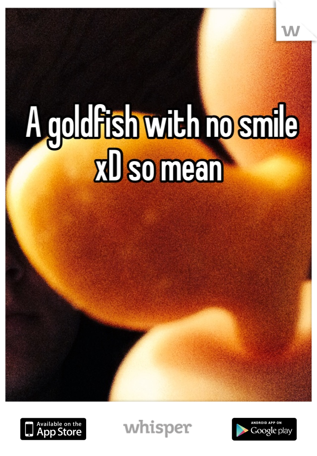  A goldfish with no smile xD so mean