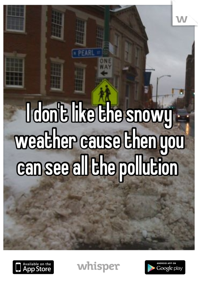 I don't like the snowy weather cause then you can see all the pollution 