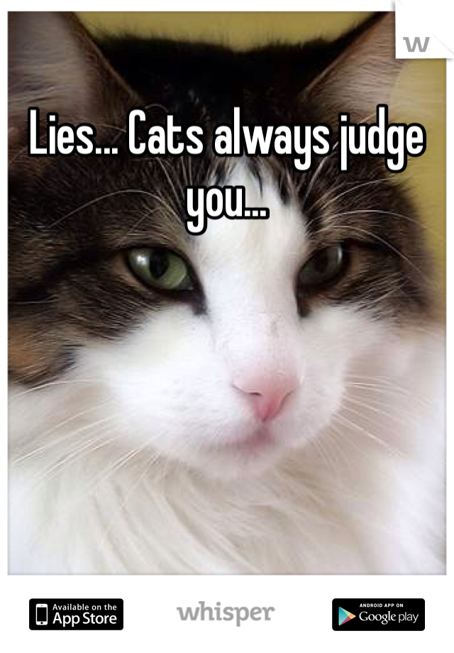 Lies... Cats always judge you...
